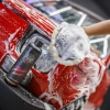 RR CUSTOMS BAD BOYS ALKALINE SHAMPOO 5L zasadowy szampon do mycia auta