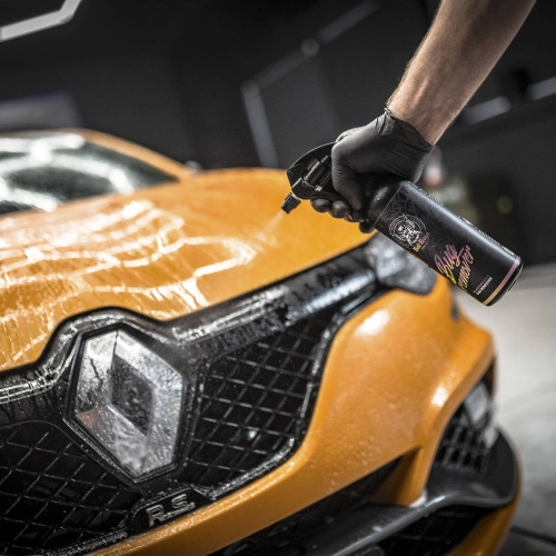 RR CUSTOMS BAD BOYS BUG REMOVER 5L środek do usuwania owadów