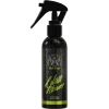 RR CUSTOMS BAD BOYS GLASS CLEANER 150ml płyn do mycia szyb