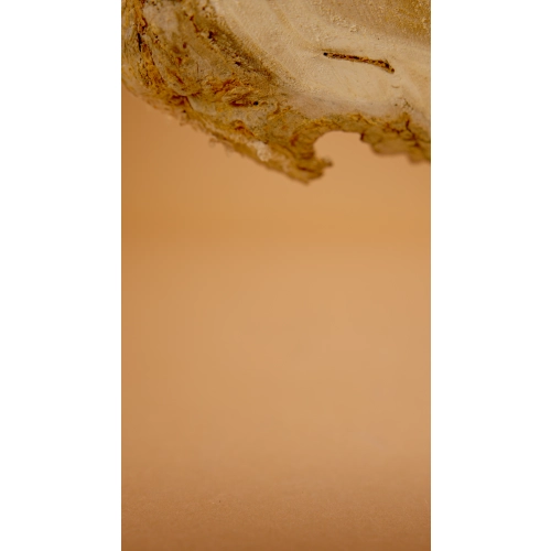CLEANTLE CAR MIST SANDALWOOD 200ml mgiełka zapachowa do auta