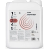 CLEANTLE PRO BONNET+ 5L środek do czyszczenia tapicerki